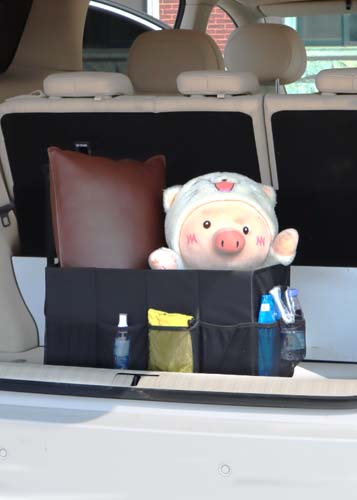  AS-013 CAR STORAGE BOX