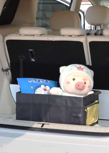  AS-015 CAR STORAGE BOX